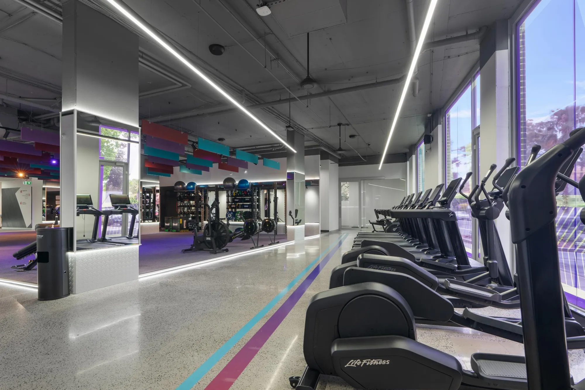 A premium cardio floor at a Maddimax club, lined with natural light from full-height glazing beneath linear ceiling lighting.