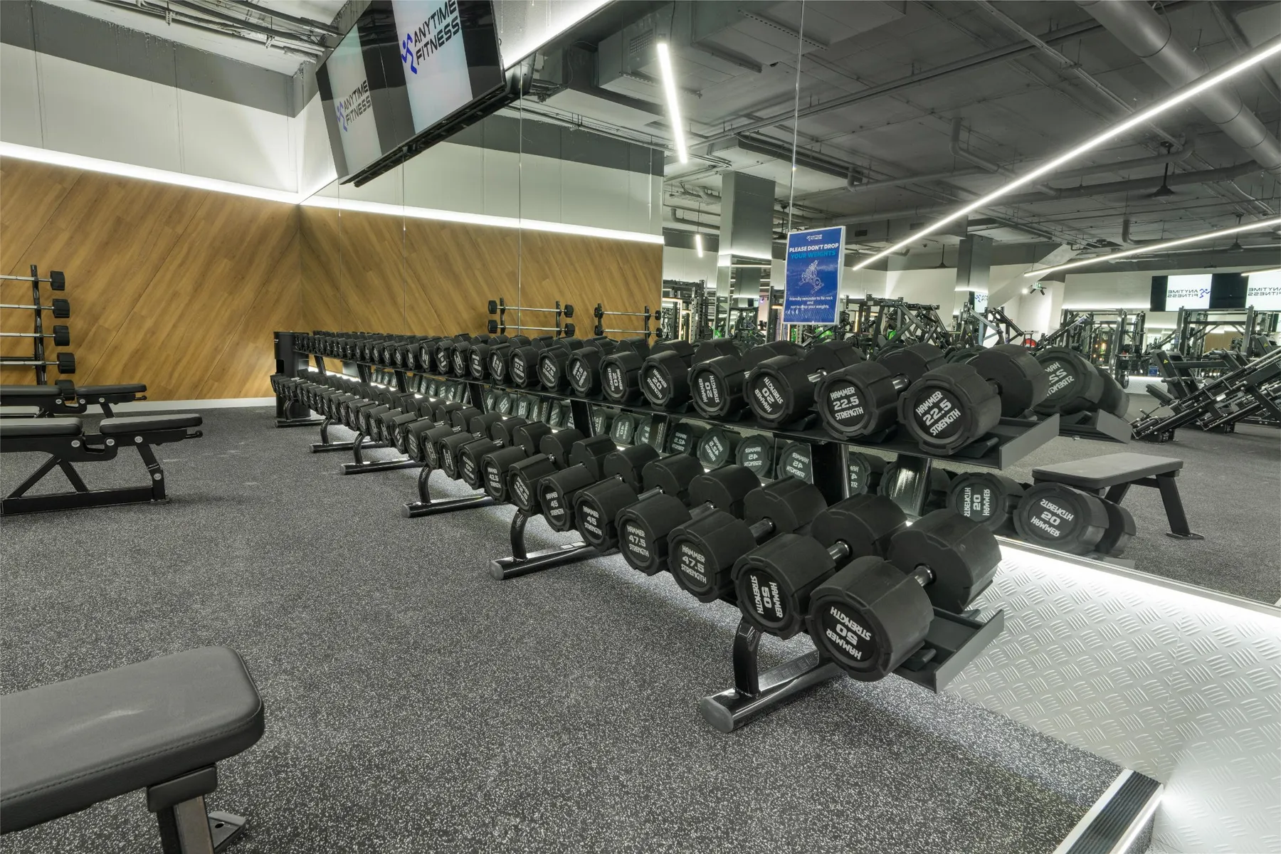A full dumbbell range along a timber feature wall on a Maddimax training floor.