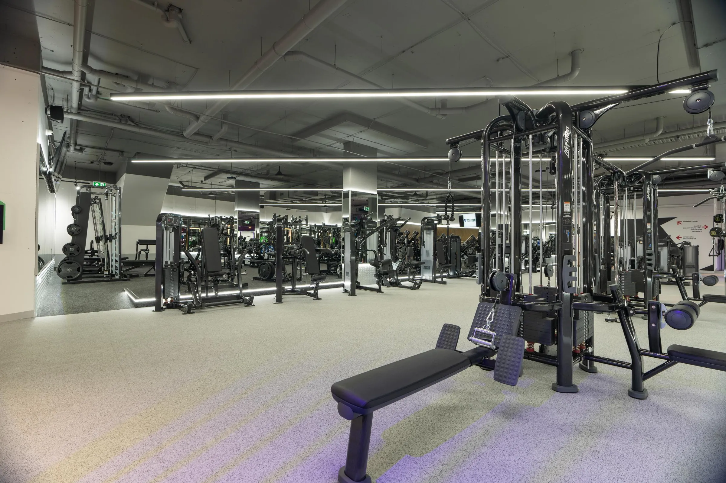The training floor at the Maddimax Botany club: dark strength equipment beneath an exposed industrial ceiling, with a soft violet light wash across a polished floor.