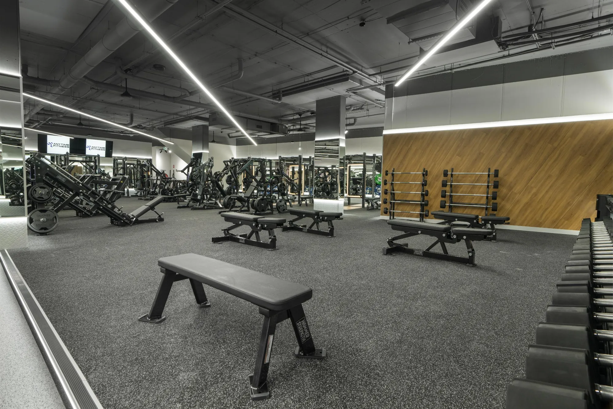 A wide strength training floor at a Maddimax club, with a timber feature wall and benches beneath an exposed ceiling.
